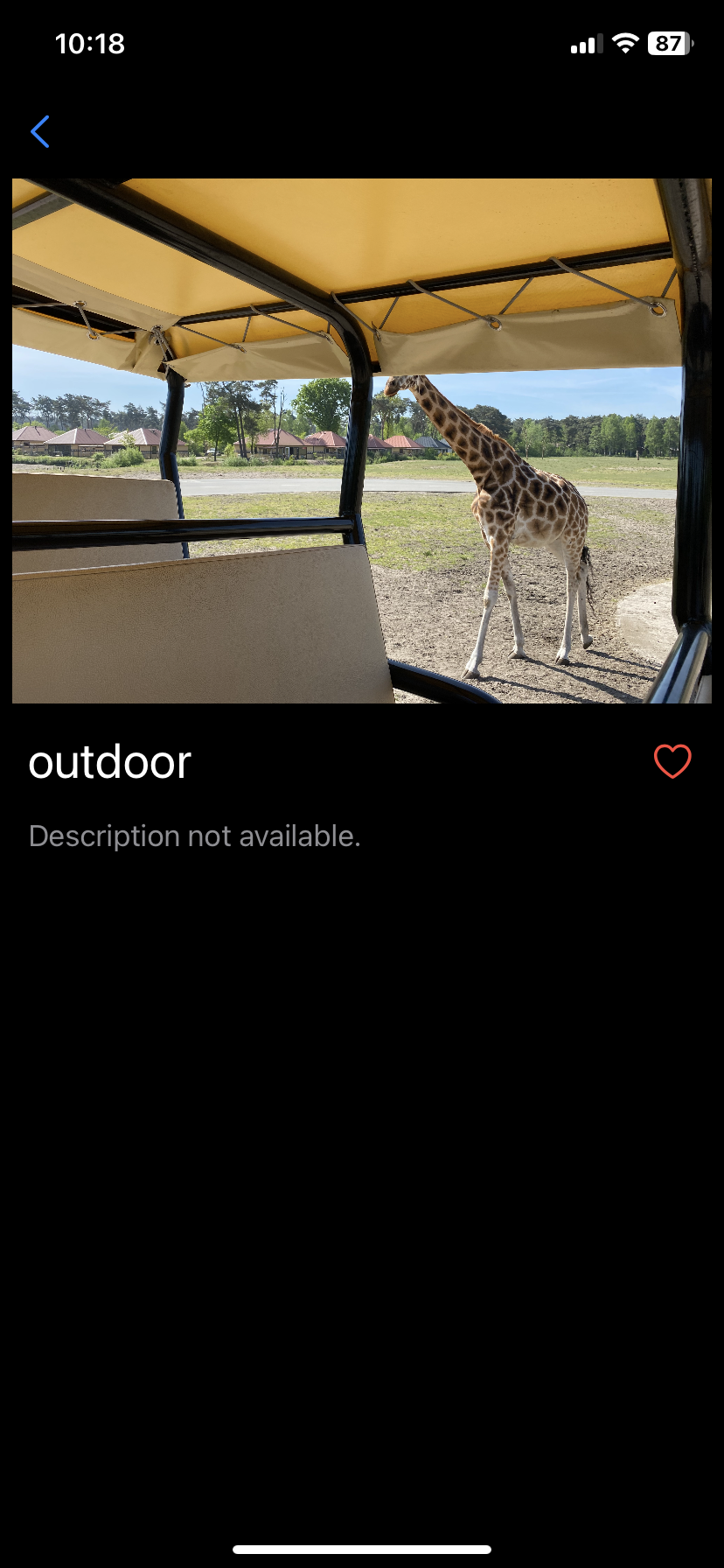 The detail screen of ZooScan showing a wrong classification for a photo of a giraffe